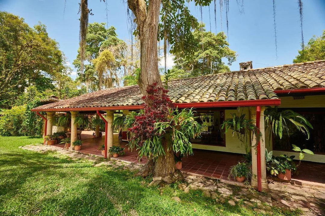 Hacienda Coloma: Donde Cada Grano de Café Cuenta una Historia y Cada Sorbo te Abraza el Alma